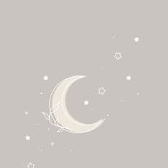 ︎✦︎